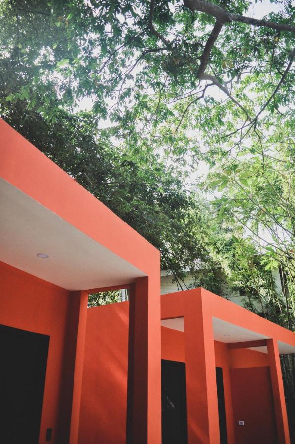 Lost Boyz Playa Santa Teresa (Puntarenas) Exterior foto